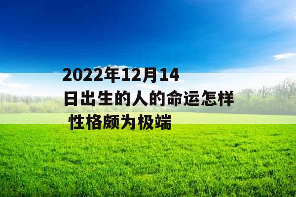 2022年12月14日出生的人的命运怎样 性格颇为极端