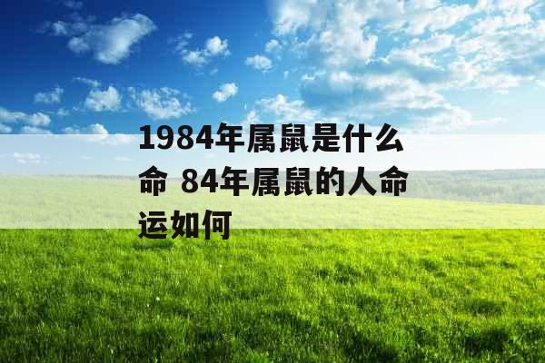 1984年属鼠是什么命 84年属鼠的人命运如何