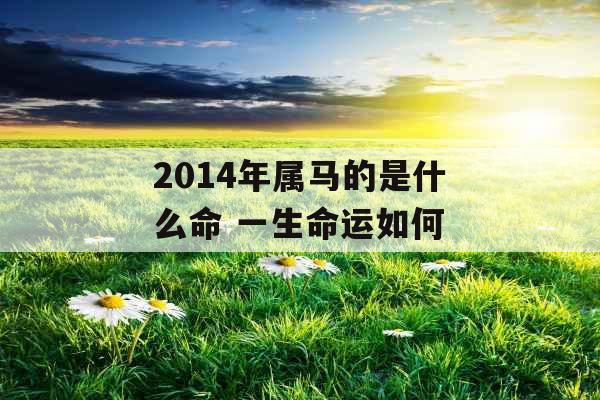 2014年属马的是什么命 一生命运如何