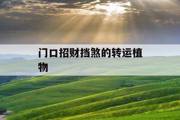 门口招财挡煞的转运植物