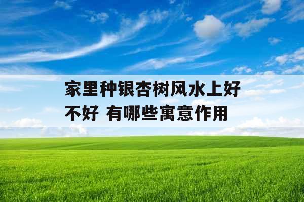 家里种银杏树风水上好不好 有哪些寓意作用 家里种银杏树风水上好不好 有哪些寓意作用