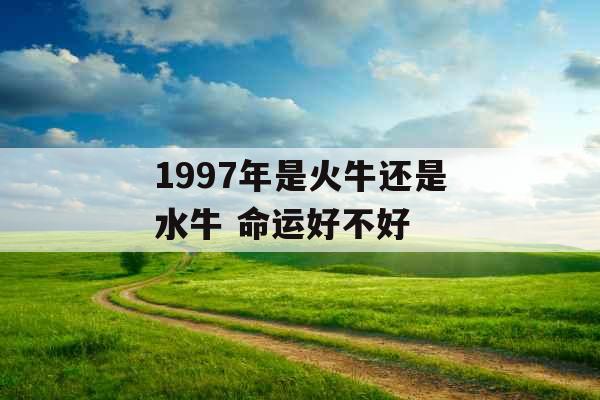 1997年是火牛还是水牛 命运好不好