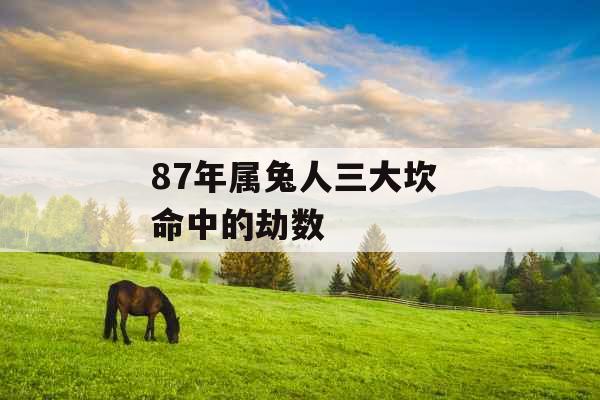 87年属兔人三大坎 命中的劫数