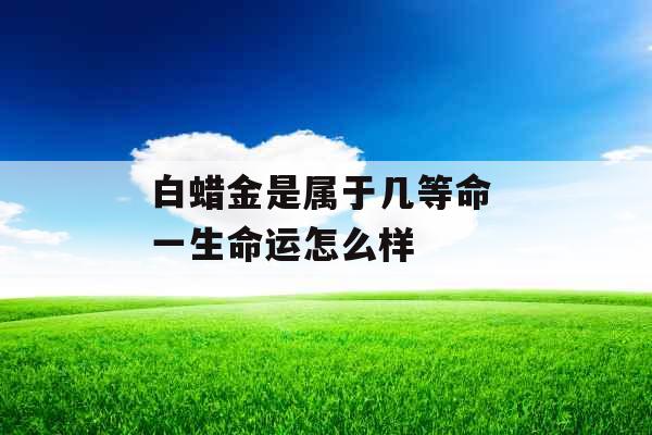 白蜡金是属于几等命 一生命运怎么样
