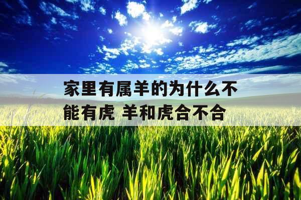 家里有属羊的为什么不能有虎 羊和虎合不合