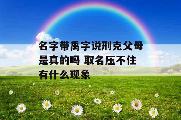 名字带禹字说刑克父母是真的吗 取名压不住有什么现象