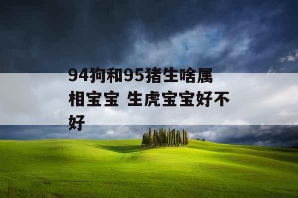 94狗和95猪生啥属相宝宝 生虎宝宝好不好