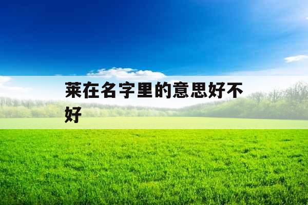 莱在名字里的意思好不好