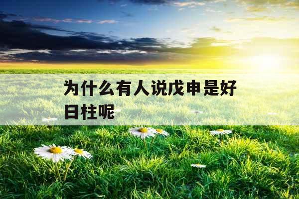 为什么有人说戊申是好日柱呢 为什么有人说戊申是好日柱呢