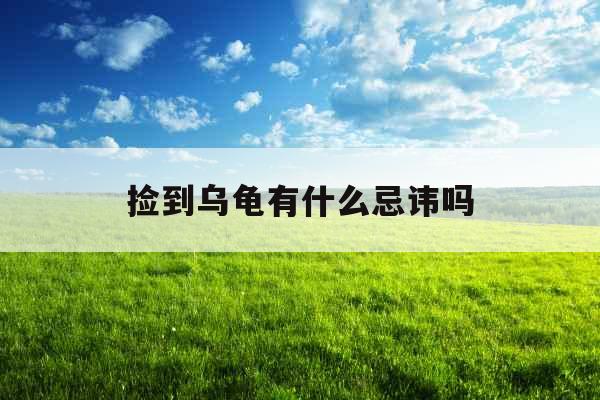 捡到乌龟有什么忌讳吗