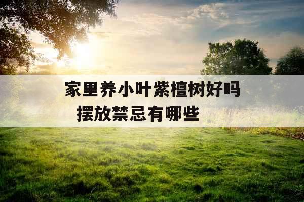 家里养小叶紫檀树好吗  摆放禁忌有哪些