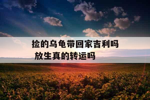 捡的乌龟带回家吉利吗 放生真的转运吗