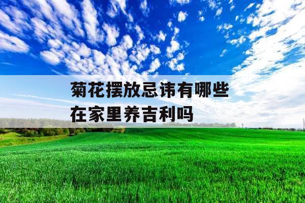 菊花摆放忌讳有哪些 在家里养吉利吗