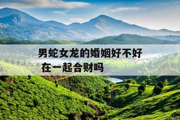 男蛇女龙的婚姻好不好 在一起合财吗