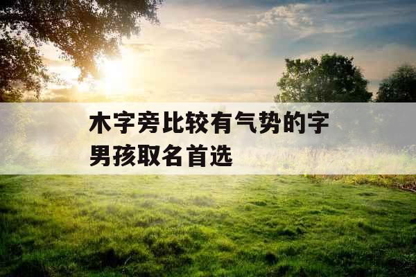 木字旁比较有气势的字男孩取名首选