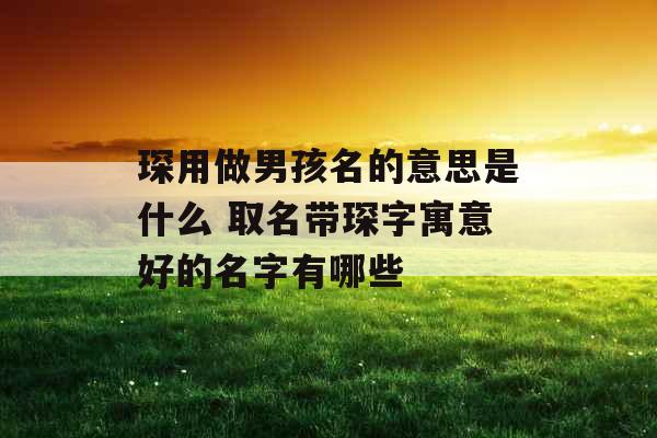 琛用做男孩名的意思是什么 取名带琛字寓意好的名字有哪些 琛用做男孩名的意思是什么 取名带琛字寓意好的名字有哪些