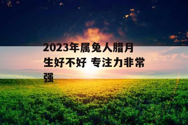 2023年属兔人腊月生好不好 专注力非常强