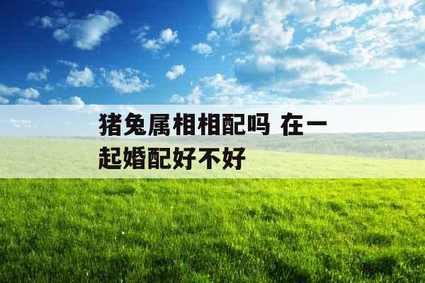 猪兔属相相配吗 在一起婚配好不好 猪兔属相相配吗 在一起婚配好不好