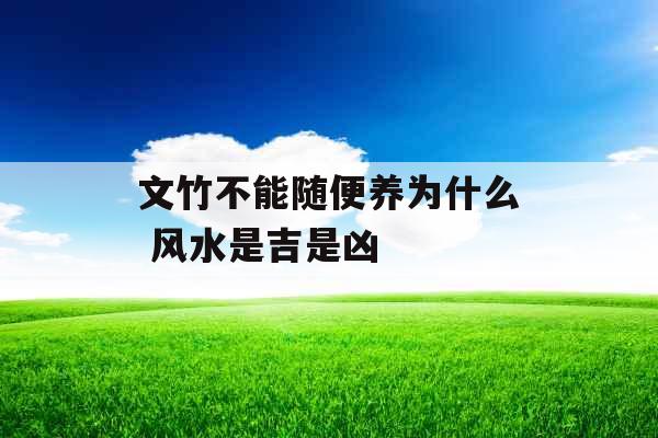 文竹不能随便养为什么 风水是吉是凶