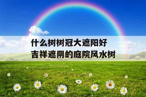 什么树树冠大遮阳好 吉祥遮阴的庭院风水树