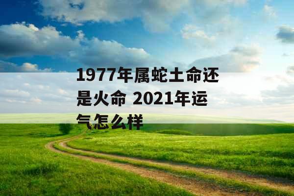 1977年属蛇土命还是火命 2021年运气怎么样