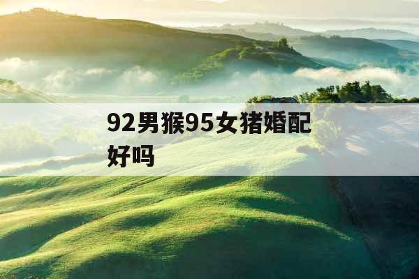 92男猴95女猪婚配好吗