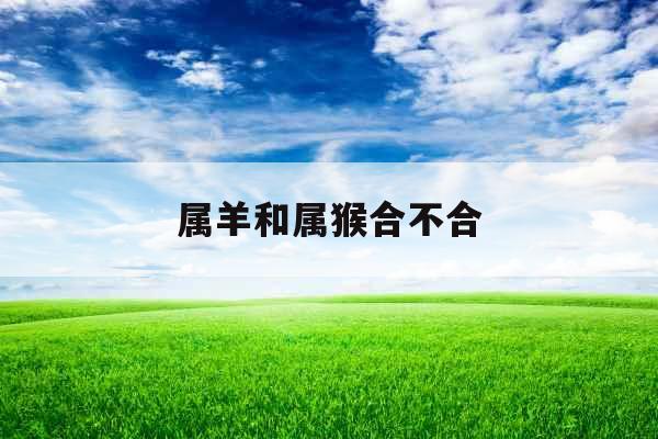 属羊和属猴合不合
