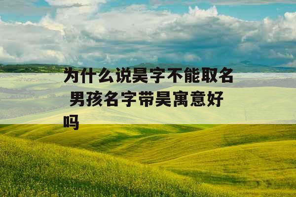 为什么说昊字不能取名 男孩名字带昊寓意好吗