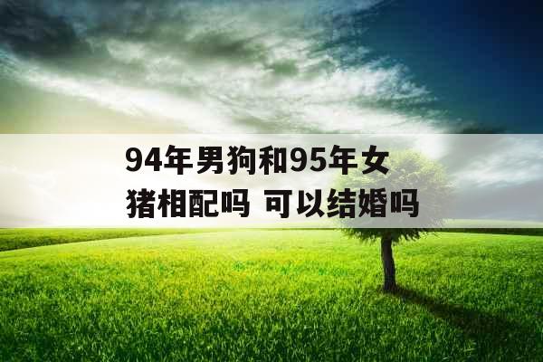 94年男狗和95年女猪相配吗 可以结婚吗