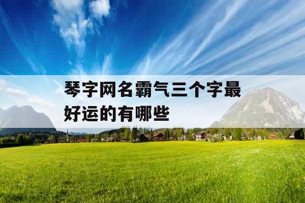 琴字网名霸气三个字最好运的有哪些
