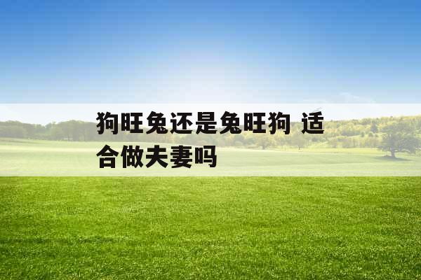 狗旺兔还是兔旺狗 适合做夫妻吗 狗旺兔还是兔旺狗 适合做夫妻吗