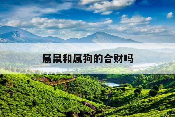 属鼠和属狗的合财吗