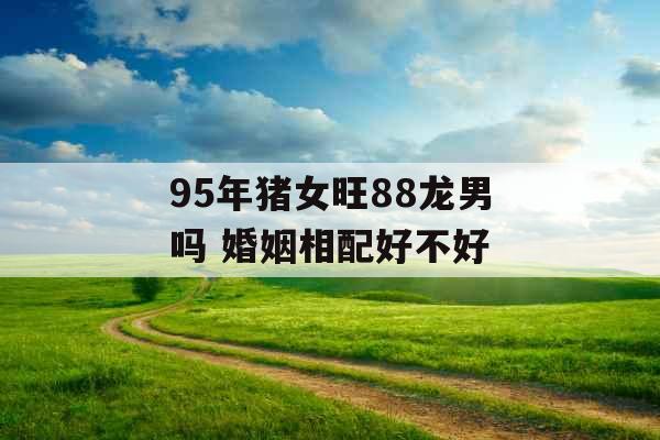 95年猪女旺88龙男吗 婚姻相配好不好