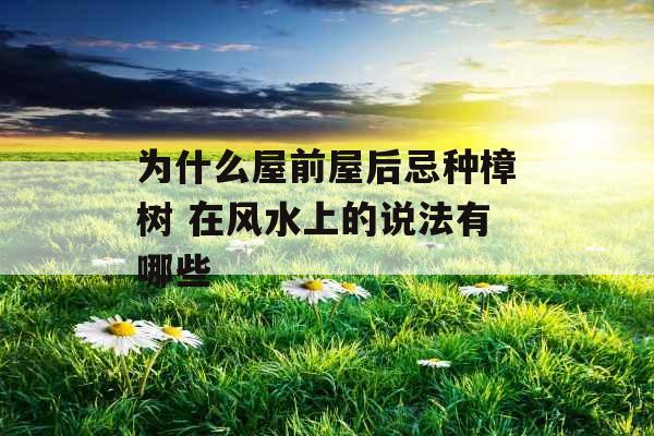 为什么屋前屋后忌种樟树 在风水上的说法有哪些