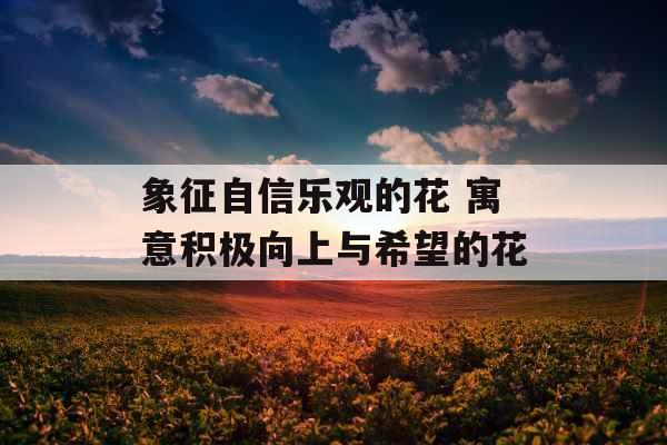 象征自信乐观的花 寓意积极向上与希望的花