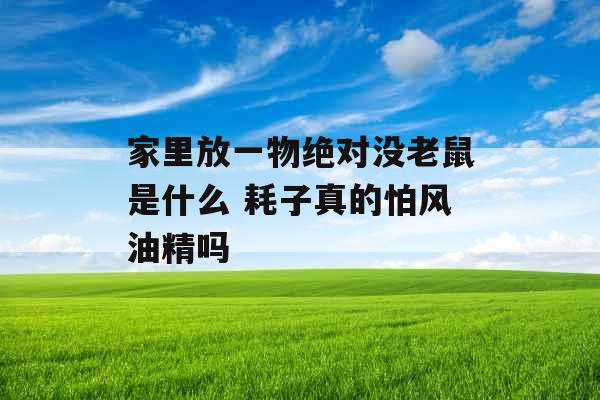 家里放一物绝对没老鼠是什么 耗子真的怕风油精吗