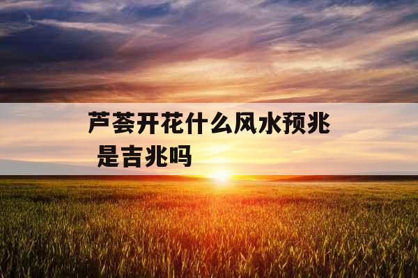 芦荟开花什么风水预兆 是吉兆吗