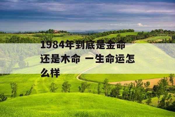 1984年到底是金命还是木命 一生命运怎么样