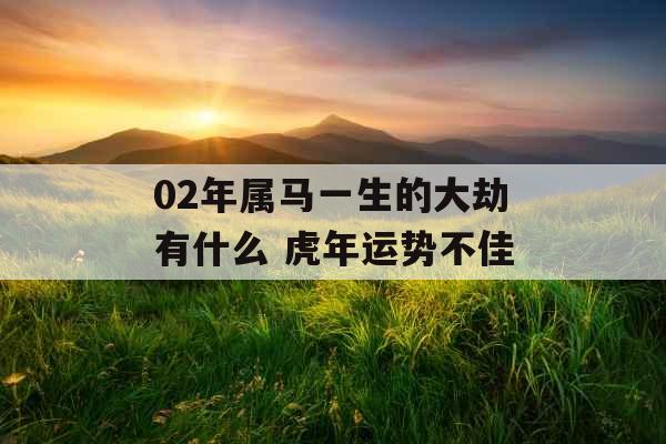 02年属马一生的大劫有什么 虎年运势不佳 02年属马一生的大劫有什么 虎年运势不佳