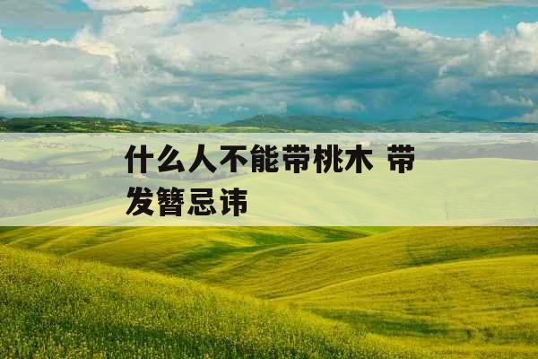 什么人不能带桃木 带发簪忌讳 什么人不能带桃木 带发簪忌讳