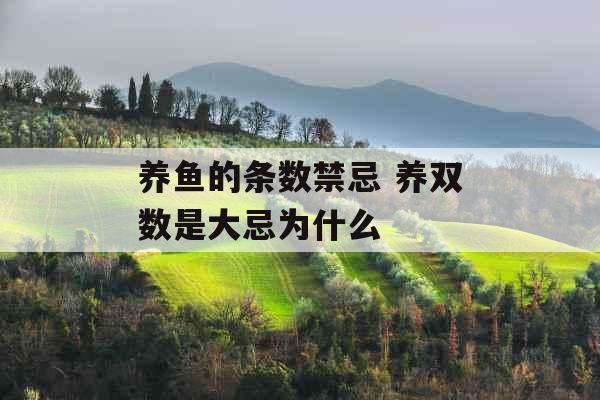 养鱼的条数禁忌 养双数是大忌为什么