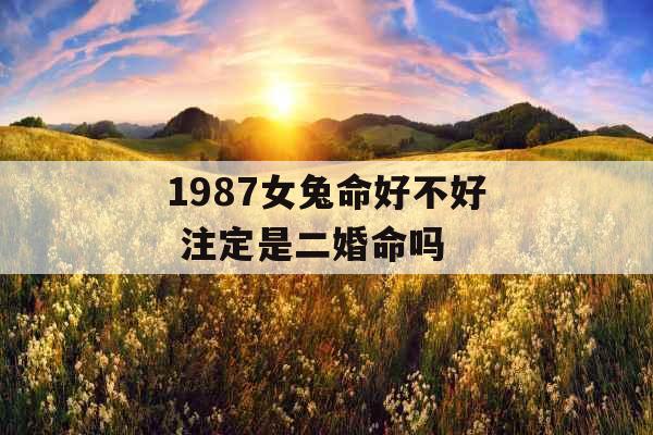 1987女兔命好不好 注定是二婚命吗
