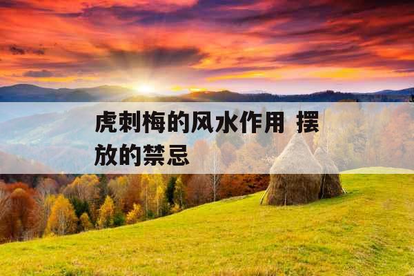 虎刺梅的风水作用 摆放的禁忌