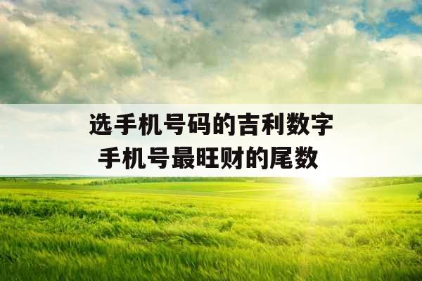 选手机号码的吉利数字 手机号最旺财的尾数