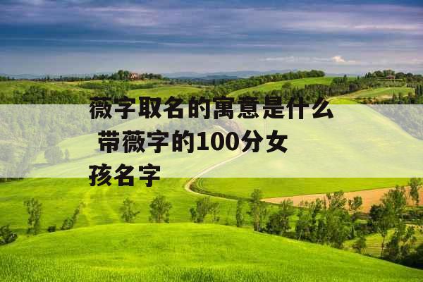 薇字取名的寓意是什么 带薇字的100分女孩名字