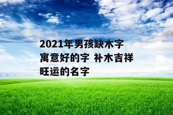 2021年男孩缺木字寓意好的字 补木吉祥旺运的名字 2021年男孩缺木字寓意好的字 补木吉祥旺运的名字