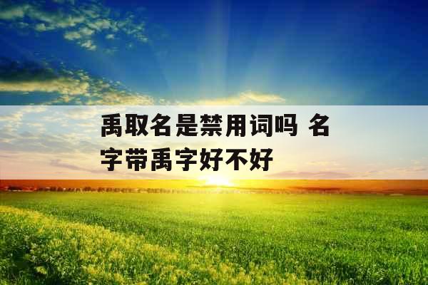 禹取名是禁用词吗 名字带禹字好不好