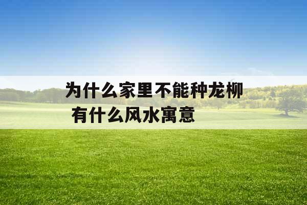 为什么家里不能种龙柳 有什么风水寓意