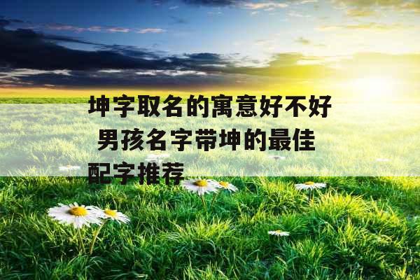 坤字取名的寓意好不好 男孩名字带坤的最佳配字推荐