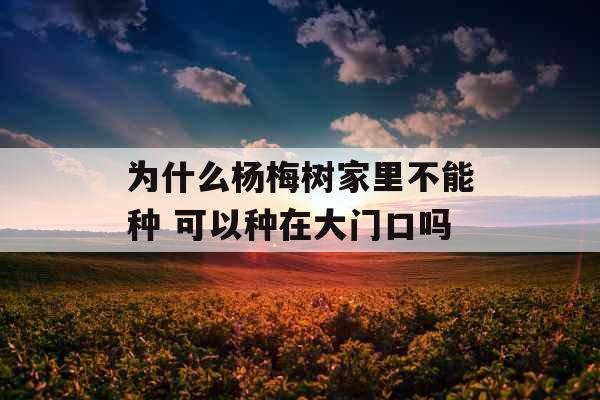 为什么杨梅树家里不能种 可以种在大门口吗